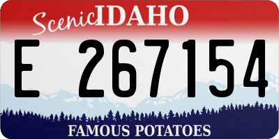 ID license plate E267154