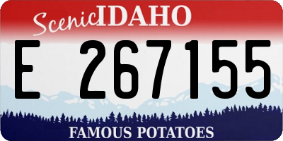 ID license plate E267155