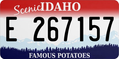ID license plate E267157
