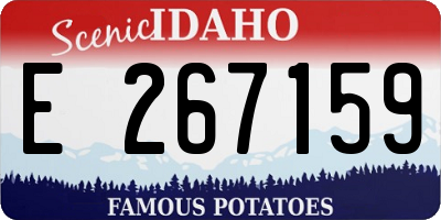 ID license plate E267159
