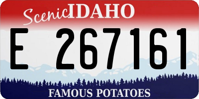 ID license plate E267161