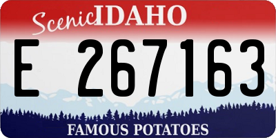 ID license plate E267163