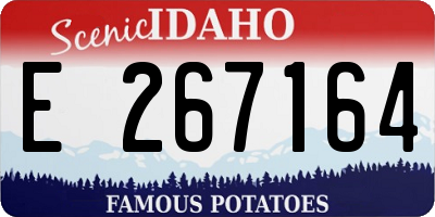 ID license plate E267164