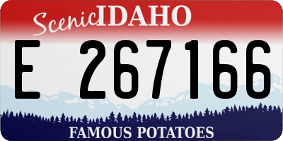 ID license plate E267166