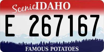 ID license plate E267167