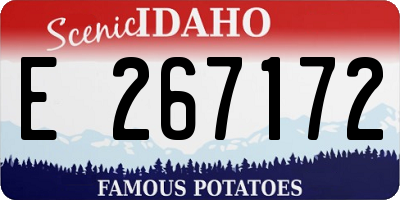 ID license plate E267172