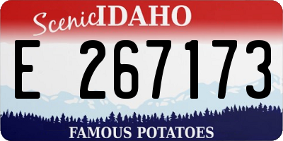 ID license plate E267173