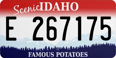 ID license plate E267175