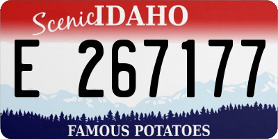 ID license plate E267177