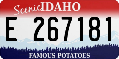 ID license plate E267181