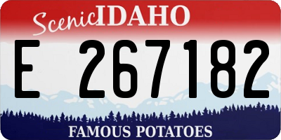ID license plate E267182
