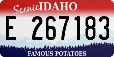 ID license plate E267183