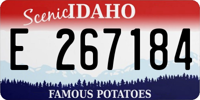 ID license plate E267184