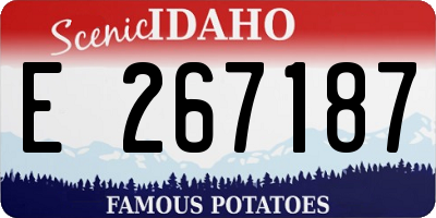ID license plate E267187