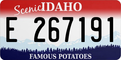 ID license plate E267191