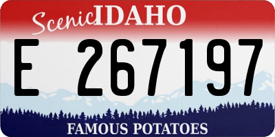 ID license plate E267197