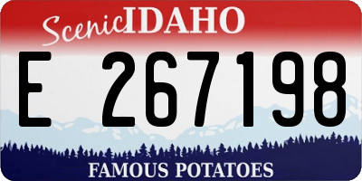 ID license plate E267198