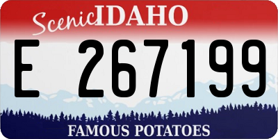 ID license plate E267199