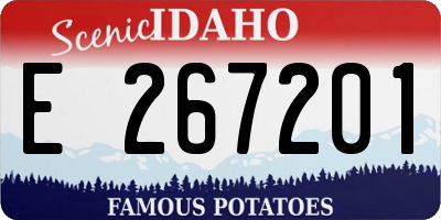 ID license plate E267201