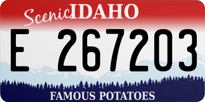 ID license plate E267203