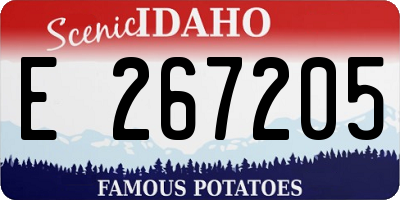 ID license plate E267205