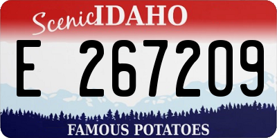 ID license plate E267209