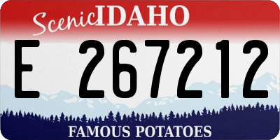ID license plate E267212
