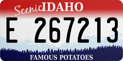 ID license plate E267213