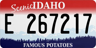 ID license plate E267217