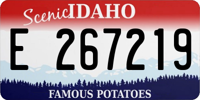 ID license plate E267219