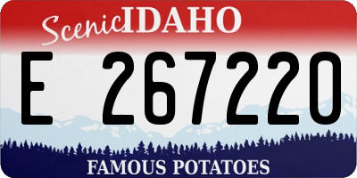 ID license plate E267220