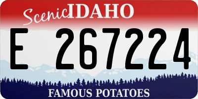 ID license plate E267224