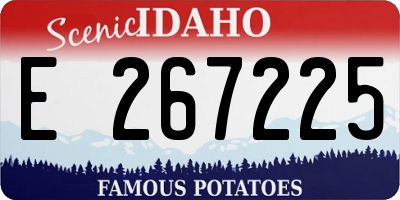 ID license plate E267225