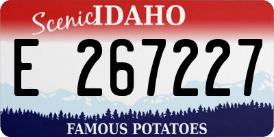 ID license plate E267227