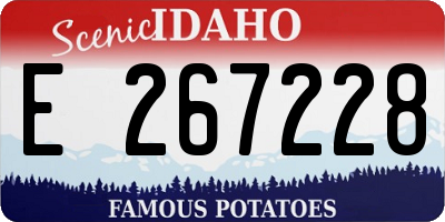 ID license plate E267228