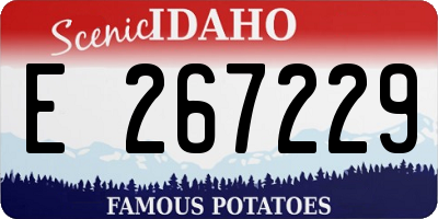 ID license plate E267229