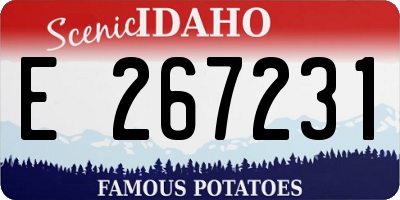 ID license plate E267231