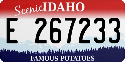 ID license plate E267233