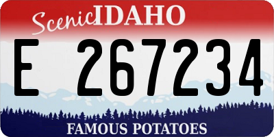 ID license plate E267234