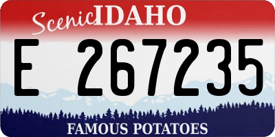 ID license plate E267235