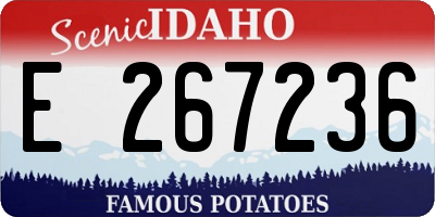 ID license plate E267236