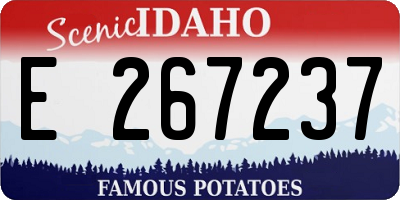 ID license plate E267237