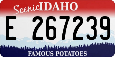 ID license plate E267239
