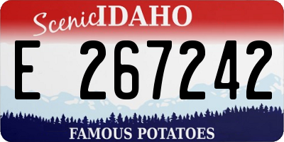 ID license plate E267242