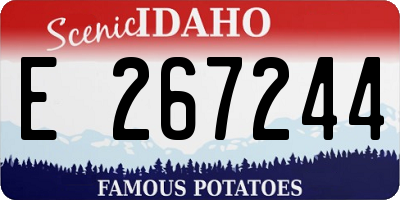 ID license plate E267244