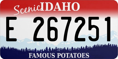 ID license plate E267251