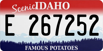 ID license plate E267252
