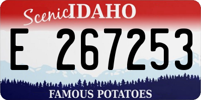 ID license plate E267253
