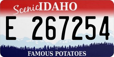 ID license plate E267254