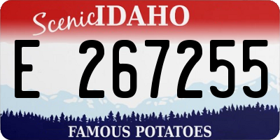 ID license plate E267255